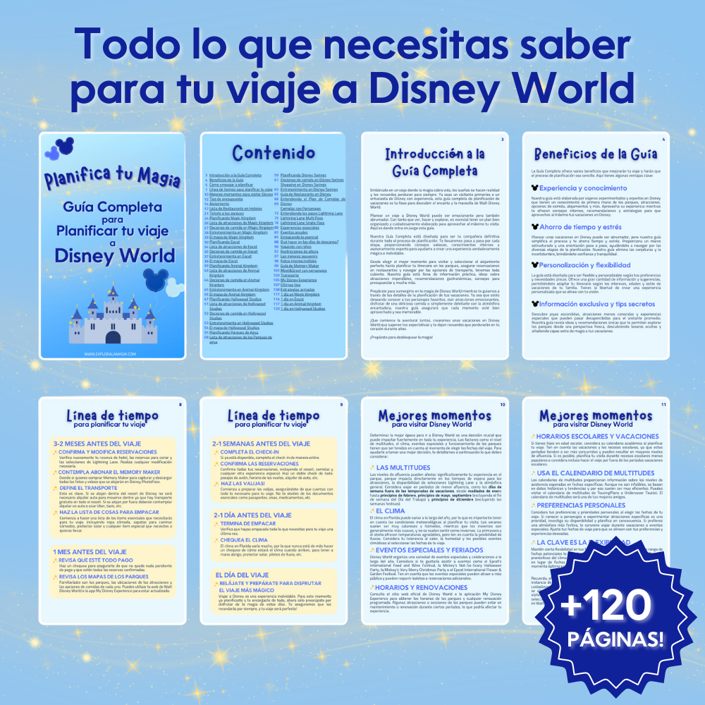Bundle Orlando: Guías Disney World y Universal Orlando