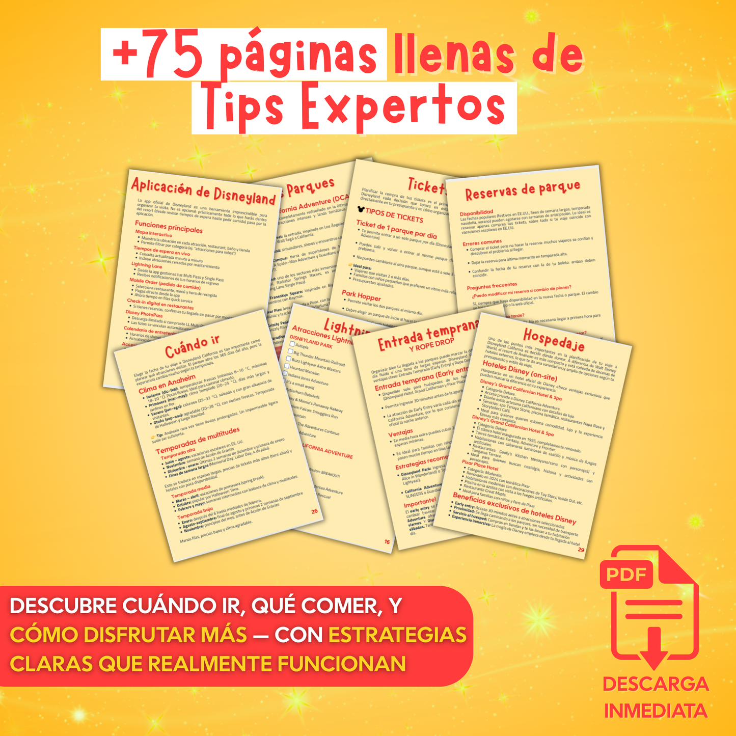 Bundle Disney: Guías Disney Orlando y California